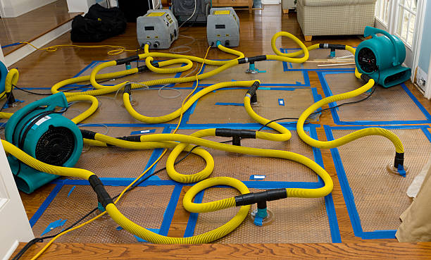 Professional Crawl Space Water Removal technician working in Coquille, OR